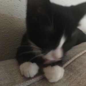 Meet your Posher, Alexis